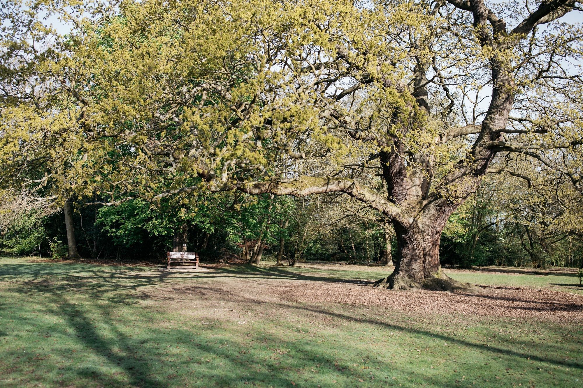 Gilwell Park Hotel Чингфорд Екстериор снимка
