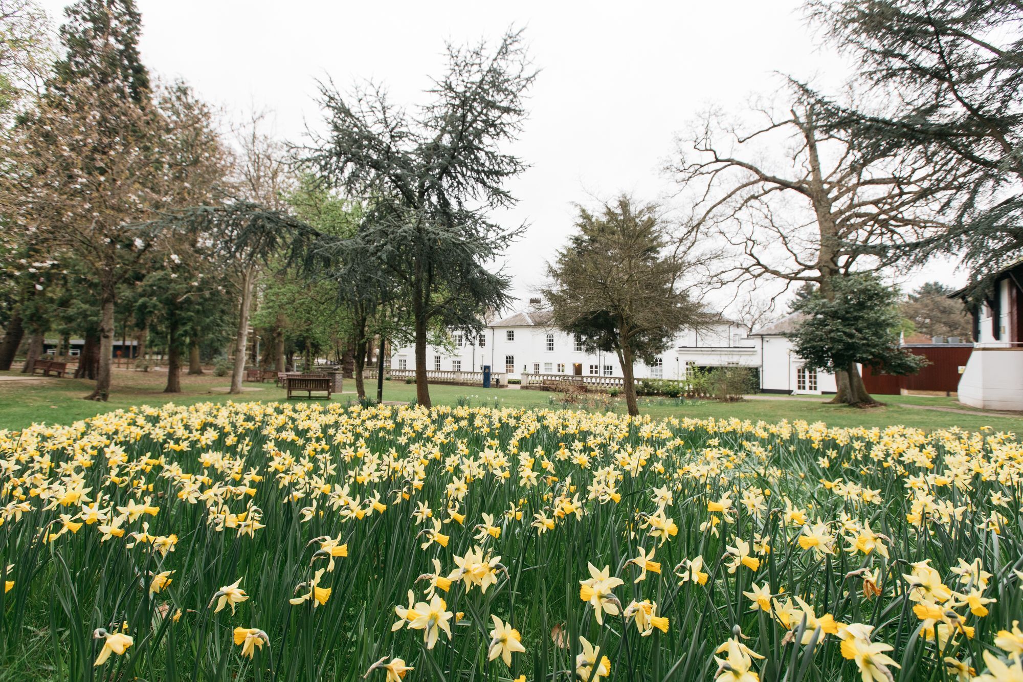 Gilwell Park Hotel Чингфорд Екстериор снимка